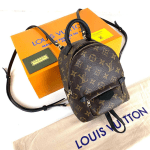 Louis Vuitton Palm Springs PM Mini Boy