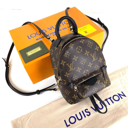 Louis Vuitton Palm Springs PM Mini Boy
