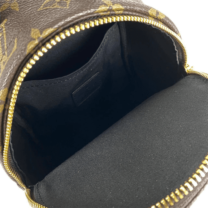 Louis Vuitton Palm Springs PM Mini Boy - Görsel 5