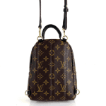 Louis Vuitton Palm Springs PM Mini Boy - Görsel 4