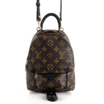 Louis Vuitton Palm Springs PM Mini Boy - Görsel 2