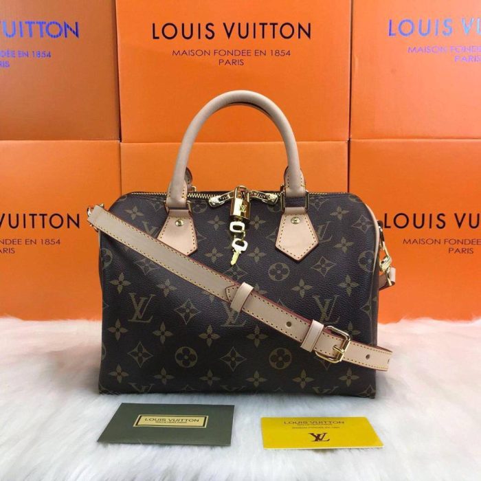 Louis Vuitton Bandouliere Speedy 25 Kadın Çanta - Görsel 1
